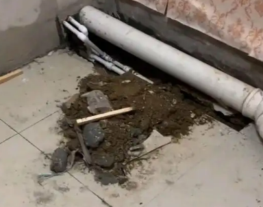 廊坊市卫生间漏水检测哪家好